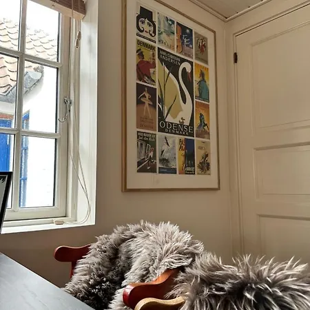 Lägenhet Charmerende Stue I Centrum Ringkøbing